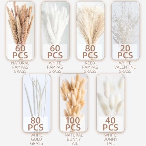 440PCS Natural Dried Pampas Grass Boho Home Decor Bouquet Phragmites Dried Flowers Bouquet for Wedding Floral Arrangements Home Decorations (440PCS) - size: 440 Pcs