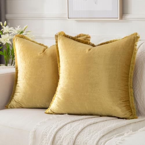 FUTEI Gold Velvet Decorative Throw Pillow Covers 20x20 Set of 2,Soft Cozy Edge with Tassels Cushion Case,Boho Modern Home Decor for Couch Bed Living Room - color: Gold, size: 20" x 20" (Pack of 2)