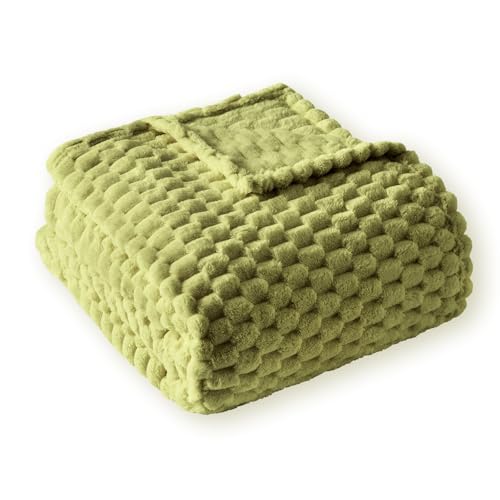 PLEASANT BOULEVARD Fleece Throw Blanket for Couch with 3D Turtle Shell Jacquard Soft Blanket, Fuzzy Blanket for All Seasons 60x80 Inches, SAGEGREEN - color: Sagegreen, size: 60x80in