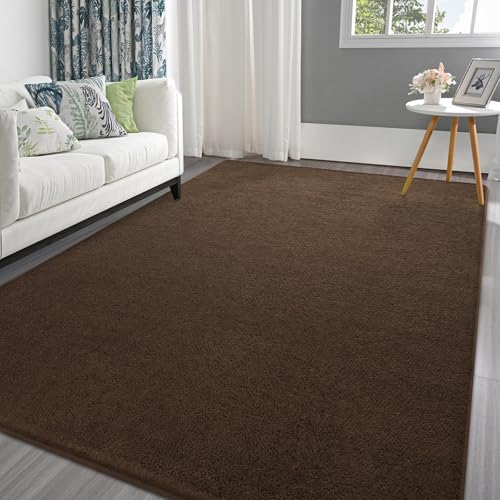 Pettop 4x6 ft Brown Area Rugs for Bedroom Living Room, Washable Memory Foam Indoor Carpet, Modern Aesthetic Minimalist Non Slip Soft Comfy Carpet for Boys Girls Dorm Home Decor - color: Brown, size: 4' X 6' (Rectangular)