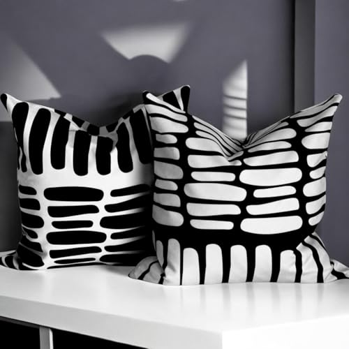 AYAY Decorative Modern Throw Pillow Covers 18x18 Set of 2 – Black and White Throw Pillows for Couch, Bed,Boho Throw Pillow Set, Printed Abstract Velvet Pillows, Washable Indoor Bedroom Pillowcases - color: Black/White Thick Lines