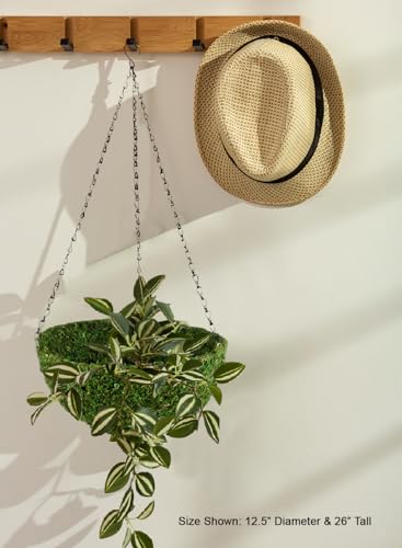 Serene Spaces Living Preserved Green Moss Hanging Basket, Decorative Planter with Metal Chain for Floral Arrangements, Garden Weddings, and Event Décor, 12.5" Diameter & 5" Tall