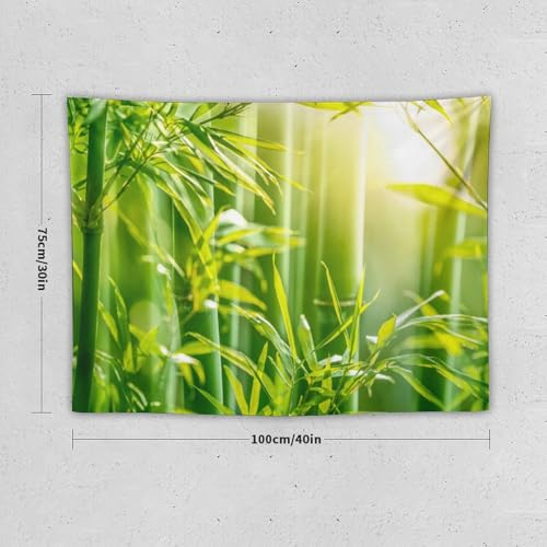 HZOHNAGO Bamboo Tapestry Bamboo Leaf Sunshine Nature Printed Wall Tapestry Painting Wall Hanging for Bedroom Living Room Dorm 40" W x 30" H - color: Bamboo-1, size: 40"L x 30"W