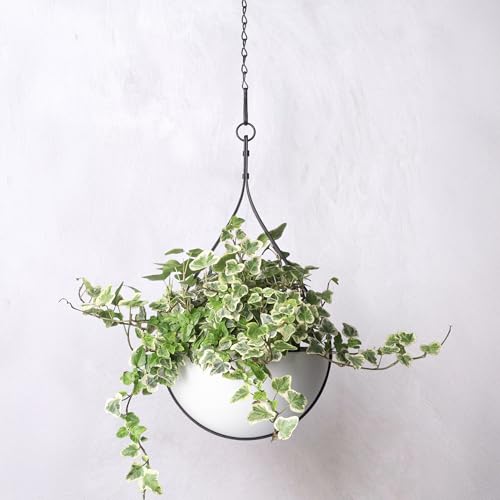 Hajia Waterdrop Shaped Hanging Planter, Metal Plant Hanger with Non-Detachable Pot, Hanging Plant Holder for Wall and Ceiling Decor.(No Plants and Drainage Holes) (Black, Medium 1 Pack) - color: Black, size: Medium 1 Pack