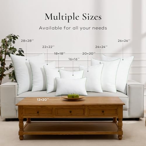 Ashler 24x24 Pillows Insert (Set of 2) - Throw Pillow Inserts with 100% Cotton Cover - 24 Inch Square Interior Sofa Stuffer Pillow Inserts -Decorative White Couch Pillow - size: 24x24 Inch