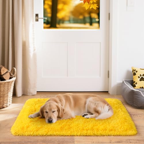 2x3 Small Rugs for Bedroom, Soft Fluffy Shaggy Bedside Area Rugs for Living Room, Indoor Floor Carpet for Kids Girls and Boys, Nursery Rooms, Home Decor Aesthetic, Yellow - color: Yellow, size: 2' x 3' (Rectangular)