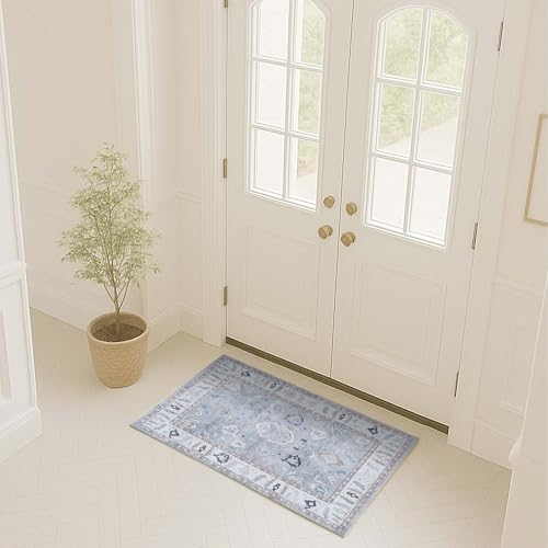 Fame Rugs Gray Modern Oushak Rug 2x3, Vintage Doormat Turkish Colorful Oriental Antique Inspired Washable Small Area Rug, Luxury Living Room Bedroom (Gbeige, 2' x 3') - color: Gbeige, size: 2' x 3' (Doormat)