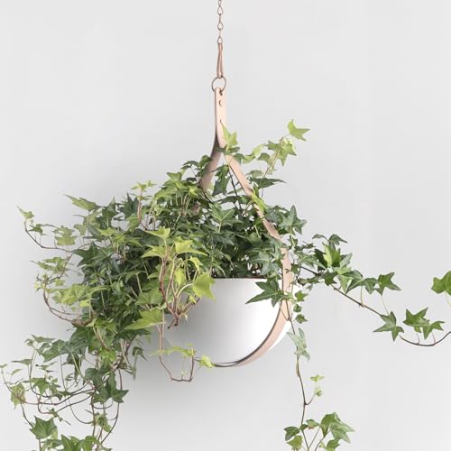 Hajia Waterdrop Shaped Hanging Planter, Metal Plant Hanger with Non-Detachable Pot, Hanging Plant Holder for Wall and Ceiling Decor.(No Plants and Drainage Holes) (Beige, Medium 1 Pack) - color: Beige, size: Medium 1 Pack