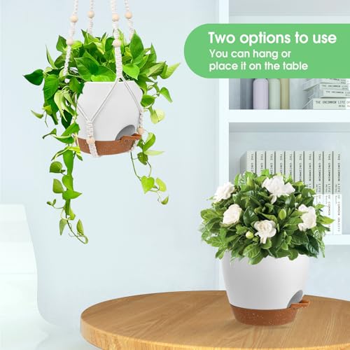 Vanslogreen Hanging Planters for Indoor Outdoor Plants, 2 Pack Self Watering Hanging Pots, Hanging Plant Baskets with Drainage Holes & 2 Types of Plant Hangers (Green, 6'') - color: Green+black, size: 6''