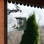 2-Pack Aesthetic Plant Hanger Indoor and Outdoor – 10 Inch Metal Hanging Plant Bracket with Beautiful Bird Pattern – Anti Rust Plant Hooks for Hanging Plants, Bird Feeder, Wind Chime, Lantern - size: 2-Pack Style 2