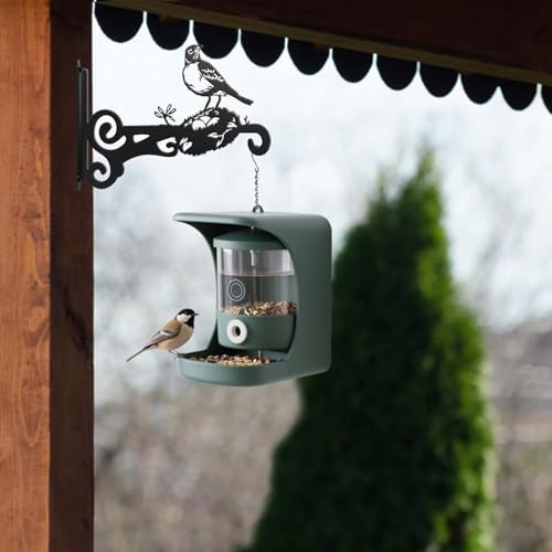 2-Pack Aesthetic Plant Hanger Indoor and Outdoor – 10 Inch Metal Hanging Plant Bracket with Beautiful Bird Pattern – Anti Rust Plant Hooks for Hanging Plants, Bird Feeder, Wind Chime, Lantern - size: 2-Pack Style 2