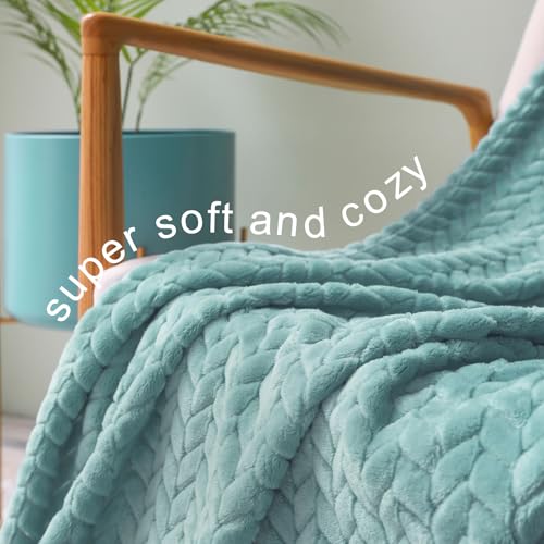 Exclusivo Mezcla Fleece Twin Size Blanket for Bed, 60x80 Inches Soft Cozy Jacquard Flannel Blankets, Lightweight Fuzzy Plush for Women, Celadon - color: Celadon, size: Twin ( 60x80 IN )