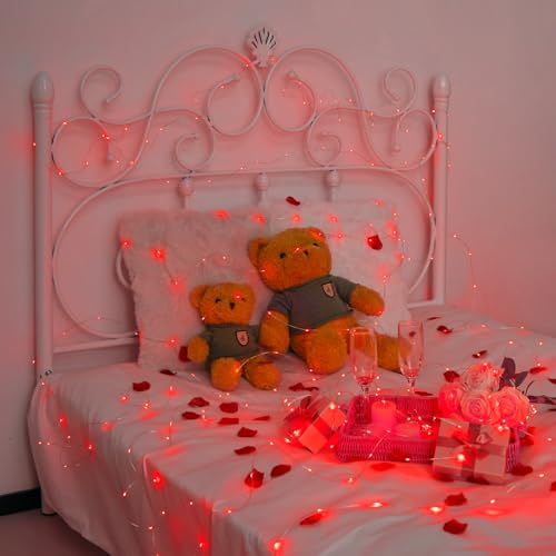 JMEXSUSS 200 LED Red Fairy Lights, 66 ft 8 Modes Red Christmas Lights Indoor Plug in with Wheel, Remote Control Twinkle String Light Outdoor for Christmas Decor - color: Red, size: 66FT 200LED