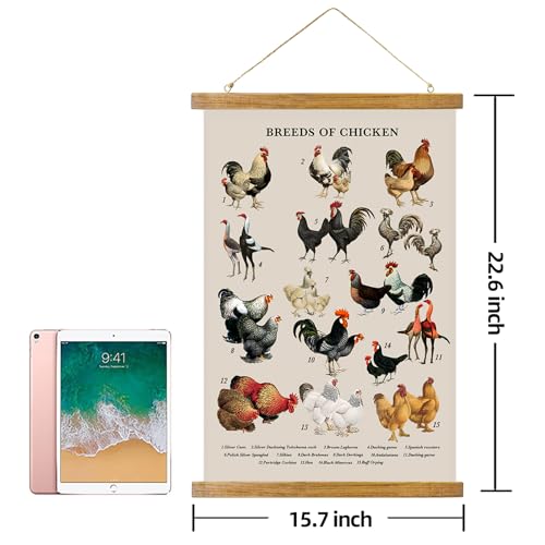 ABoby Vintage Illustrated Chicken Breeds Posters - Farmhouse Wall Art - Retro Style Wall Decor Painting with Wood Frames - Ready to Hang - color: Chicken