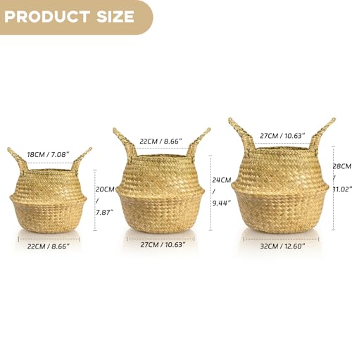 Seagrass Plant Basket with Handles Set of 3 - Woven Belly Basket Planter with Liner for Indoor Plants, Olive Tree, Monstera, Snake Plant, Faux Tree, 8" 9" 10" 12 Inch Pots, Boho Floor Basket