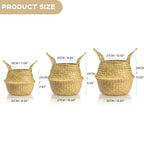 Seagrass Plant Basket with Handles Set of 3 - Woven Belly Basket Planter with Liner for Indoor Plants, Olive Tree, Monstera, Snake Plant, Faux Tree, 8" 9" 10" 12 Inch Pots, Boho Floor Basket