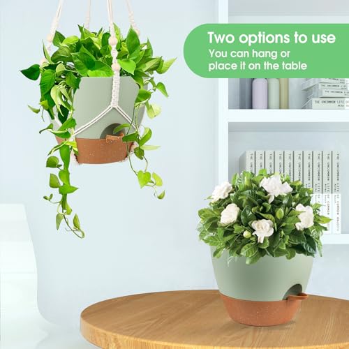 Hanging Planters for Indoor Outdoor Plants, 2 Pack Self Watering Hanging Pot with Drainage Holes, Removable Tray & 2 Kinds of Plant Hangers, 10'' Hanging Flower Pots for Home Garden Decor, Green - color: Ivory+black+green, size: 10''