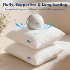 18x18 Pillow Inserts, Set of 2 Down Alternative Throw Pillows Insert for Bed, Sofa & Couch, Ultra Soft Fluffy Sleeping Pillow with 100% Cotton Cover - size: 18x18 Inch