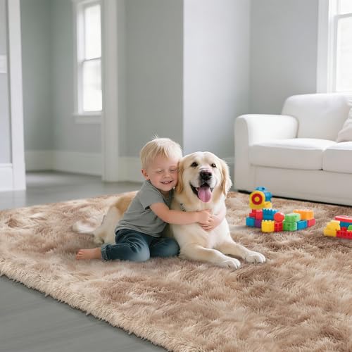 Fluffy Rug Shag Area Rug, Mottling Beige 2x4 Area Rugs for Bedroom, Small Bedside Rug, Soft Fluffy Shag Entryway Throw Rugs for Living Room Bedroom Room Home Decor - color: Mottling Orange, size: 2' x 4' (Rectangular)