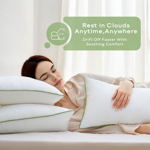 Ashler 24x24 Pillows Insert (Set of 2) - Throw Pillow Inserts with 100% Cotton Cover - 24 Inch Square Interior Sofa Stuffer Pillow Inserts -Decorative White Couch Pillow - size: 24x24 Inch
