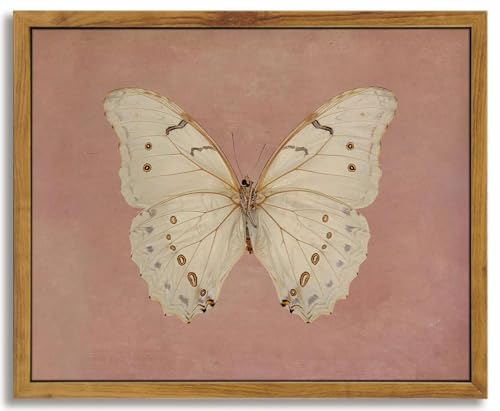 Framed Vintage Butterfly Canvas Wall Art Antique White Moth Picture Pink Aesthetic Poster Print Neutral Moody Insect Painting Farmhouse Wall Decor for Living Room Bedroom Dorm Office 8x10in - color: Butterfly, size: 10"L x 8"W