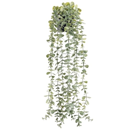 Der Rose 1Pcs Fake Plants Hanging Artificial Potted Faux Eucalyptus Plants for Modern Boho Farmhouse Bathroom Office Desk Wall Art Shelf Living Room Aesthetic Decor Indoor - color: Grey