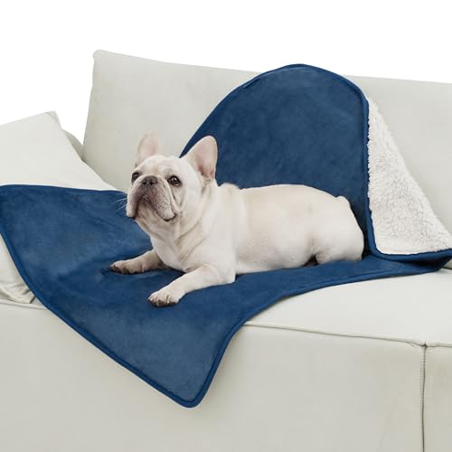 Bedsure Cat Blanket for Indoor Cats - Waterproof Calming Cat Blankets for Couch Protection, Sherpa Fleece Pet Blanket, Soft Plush Reversible Throw Furniture Protector, 40"x30", Blue - color: Blue, size: M(30x40")