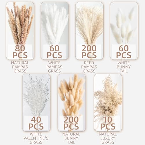 650PCS Natural Dried Pampas Grass Boho Home Decor Bouquet Phragmites Dried Flowers Bouquet for Wedding Floral Arrangements Home Decorations (650PCS) - size: 650PCS