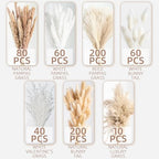 650PCS Natural Dried Pampas Grass Boho Home Decor Bouquet Phragmites Dried Flowers Bouquet for Wedding Floral Arrangements Home Decorations (650PCS) - size: 650PCS