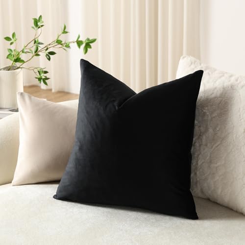 DEZENE Euro Sham Covers 24x24 Black: Pack of 2 Cozy Soft Velvet Square Modern Luxury Decorative Throw Pillow Cases for Sofa Couch Living Room Bed Home Decor - color: Caviar, size: 24" x 24" (Pack of 2)
