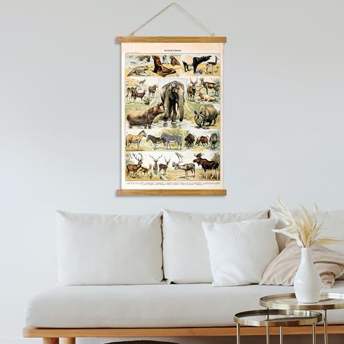 ABoby Vintage Illustrated Wildlife Chart Posters - Educational Animal Wall Art for Schools Homes - Retro Style Painting with Wood Frames - color: Wildlife