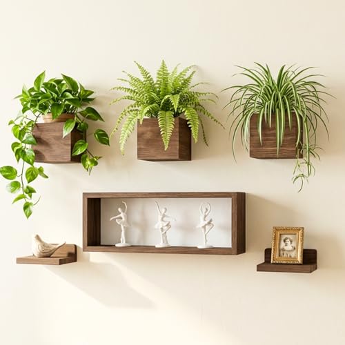 LaLaGreen Wood Planter Box for Indoor Plants (6 Pack) Wooden Wall Hanging Planters for Dried Flowers, Modern Farmhouse Wall Mount Greenery Decor Living Room, Bedroom, Kitchen, Office Home Garden - size: 6-pc Set B