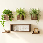 LaLaGreen Wood Planter Box for Indoor Plants (6 Pack) Wooden Wall Hanging Planters for Dried Flowers, Modern Farmhouse Wall Mount Greenery Decor Living Room, Bedroom, Kitchen, Office Home Garden - size: 6-pc Set B