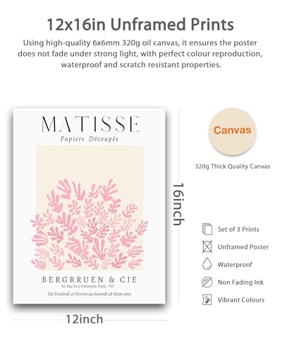 HesenDot Unframed Matisse Pink Wall Art,12x16in Canvas Prints Set of 3, Modern Abstract Wall Decor Posters,Minimalist Home Decoration for Living Room Bedroom Office, Unframed - color: Unframed Matisse Abstract Pink, size: 16"L x 12"W