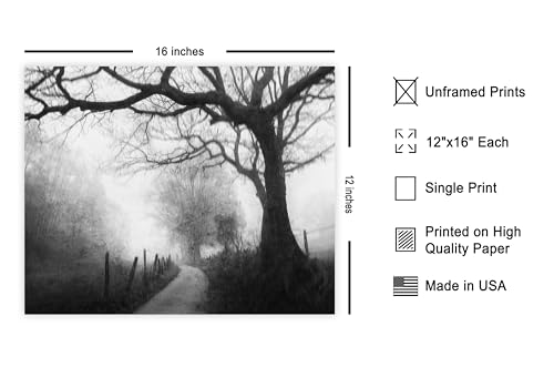 Monem Art Narrow Path into the Foggy Distance Print - Vague Memories Poster - Landscape Art - Monochrome Office or Bedroom Decor - 12x16 Unframed Wall Art by Adam Dauria - color: Style-03, size: 12"L x 16"W