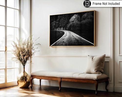 Monem Art Winding Road Through a Forest Print - Bavarian Paths Poster - Landscape Art - Monochrome Office or Living Room Decor - 12x16 Unframed Wall Art by Adam Dauria - color: Style-09, size: 12"L x 16"W