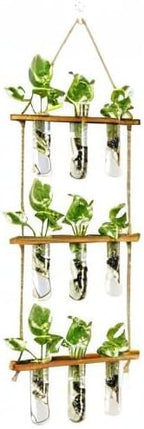 XXXFLOWER Wall Hanging Propagation Station with Wooden Stand Glass Test Tubes Tiered Planters Wall Terrarium for Home Office Plant Hanger Flower Vases Wall Decor Hydroponic Cuttings (9 Tube Vases)