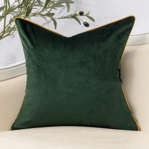 Yangest Green Twigs Throw Pillow Cover Branches Velvet Cushion Case Neutral Pillowcase for Sofa Couch Bedroom Living Room Home Decor,20x20 Inch - color: Green, size: 20" x 20" (Pack of 1)