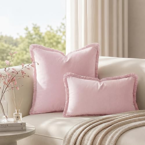 HOMEIDEAS Light Pink Velvet Throw Pillow Covers 24x24 Set of 2, Luxury Decorative Pillow Covers with Short Fringe Tassels, Modern Farmhouse Boho Cushion Covers for Sofa Couch Bed Neutral Home Decor - color: Pink, size: 24" x 24" (Pack of 2)