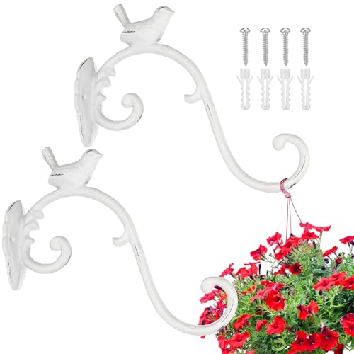 Moxweyeni 2 Pcs Cast Iron Plant Hangers Outdoor 10" Heavy Duty Hanging Basket Brackets Lovely Bird Shape Decorative Wall Hangers for Flower Pots Bird Feeder Wind Chime Lantern(White) - color: White