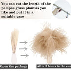 Natural Dried Pampas Grass Decor, White Pampas Grass， Bunny Tails Dried Flowers, Reed Grass Bouquet for Wedding Boho Flowers Home Table Decor, Rustic Farmhouse Party (100 in Total ) - size: 100PCS-White