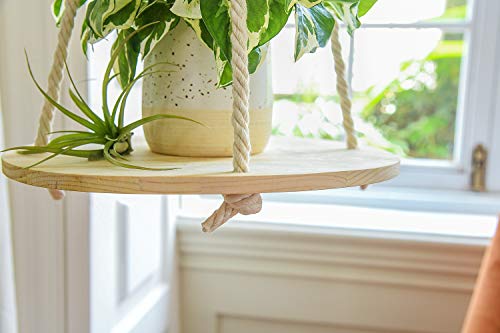 Dahey Hanging Plant Shelf Round Wood Rope Hanging Floating Shelf Boho Home Decor Display Planter Rack for Living Room Bedroom Kitchen Room,Nature - color: Nature