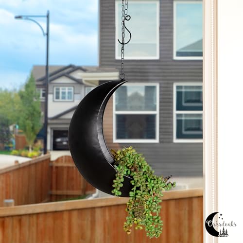 Black Hanging Moon Planter with Drain Holes - Moon Room Decor - Unique Planters for Succulents,Air Plant, Cactus, Artificial Plants- Plant Lover Gifts - Boho,Hippie, Birthdays,Witchy Gifts for Women - color: Black Moon With Drain Holes
