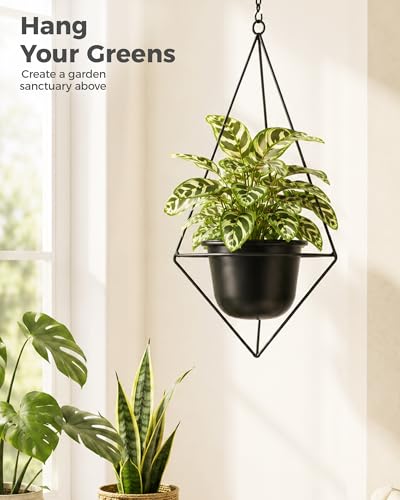 Bamworld Black Hanging Planters for Indoor Outdoor Plants Metal Hanging Pots for Plants 5 Inch Modern Hanging Basket Window Plant Hanger Ceiling Hanging Flower Pot with Chain for Wall Decor (Diamond) - size: Diamond - 5in