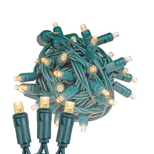 Novelty Lights 25ft 50 LED Sun Warm White Christmas Lights Outdoor/Indoor, 6" Spacing, Green Wire String Lights for Festive Xmas Lighting, IP55, UL Listed, Dimmable, Connectable - color: Sun Warm White