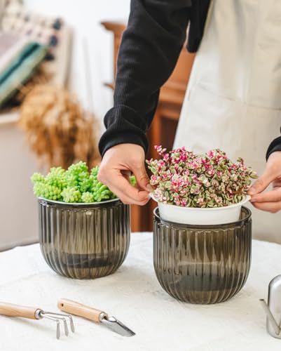 Josteve 6.5 Inch 2 Pcs Self Watering Hanging Planter Indoor Plant Pots Drainage Holes, Outdoor Hanging Planters Flower Pot Basket, Visible Water Level, Plant Hanger Home Decor, Gardening - color: Gray, size: 2*6.5 inch