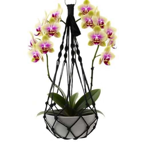 2 Pack Macrame Hanging Planters - Stylish Plant Hangers Crochet Boho Plant Holder Hanging Plant Basket for Up to 8 Inch Pots(Black, Without Patterns) - color: Black, Without Patterns