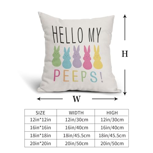 Easter Pillow Covers 16x16 Inches Hello My Peeps Hip Hop Throw Pillow Case Set of 2 Easter Bunny Pillow Cover Cotton Linen Spring Cushion Cover for Home Couch Sofa Bedroom Livingroom - color: Easter Rabbit231123, size: 16" x 16" (Pack of 2)