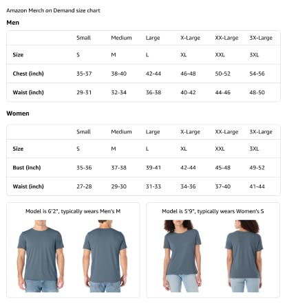 Cactus Southwest Desert Scenery Boho Style Graphic Premium Tri-Blend T-Shirt - color: Slate Grey, size: Small