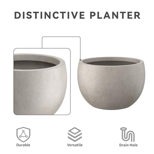 Kante 10 in x 15-16 in Low Concrete Planter, Wide Bowl Plant Pot with Drainage Hole & Rubber Plug – Breathable Handmade Cement Container for Succulents, Tabletop, Patio, Weathered Concrete - color: Weathered Concrete, size: 15.7" d